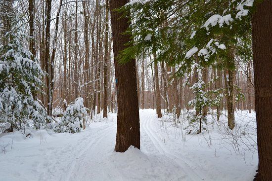 Boise des Compagnons-de-Cartier